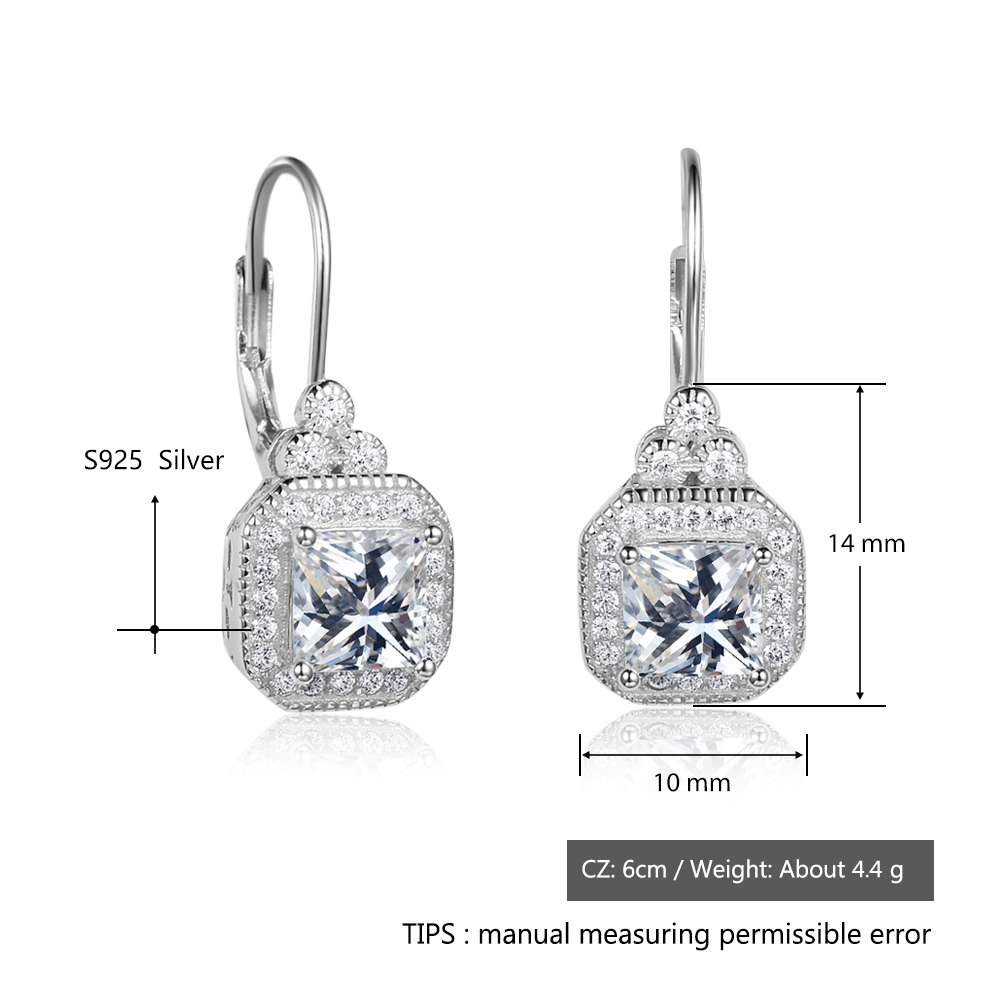 s925 sterling silver rhinestone earrings