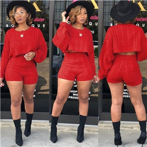 Women Knitted Sweaters Two Piece Set O Neck Long Sleeve Loose Crop Top High Waist Shorts - Plushlegacy