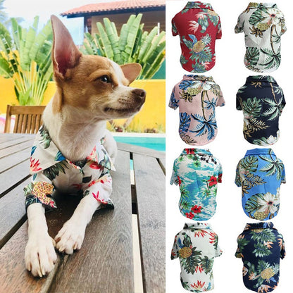 Summer and chill thin Shirt for dogs